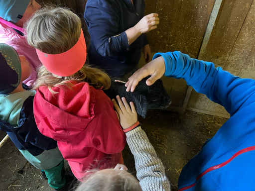 Besuch auf dem Bauernhof