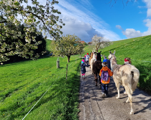 Lama Wanderung