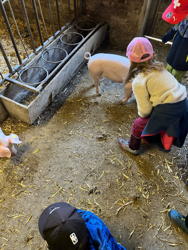 Besuch auf dem Bauernhof