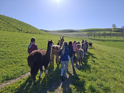 Lama Wanderung