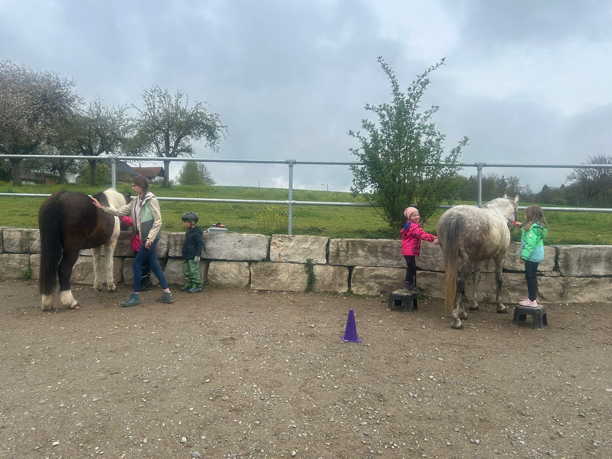 Ponyplausch