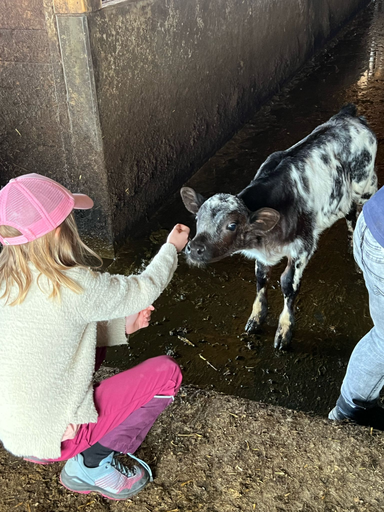 Besuch auf dem Bauernhof