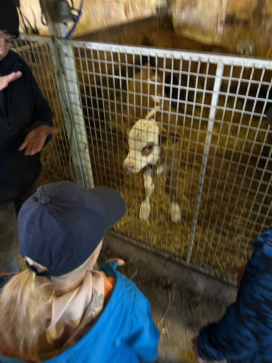 Besuch auf dem Bauernhof