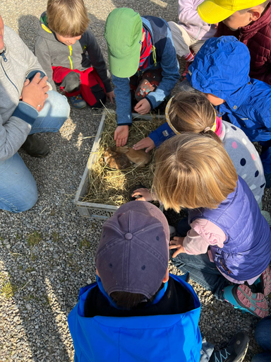 Besuch auf dem Bauernhof