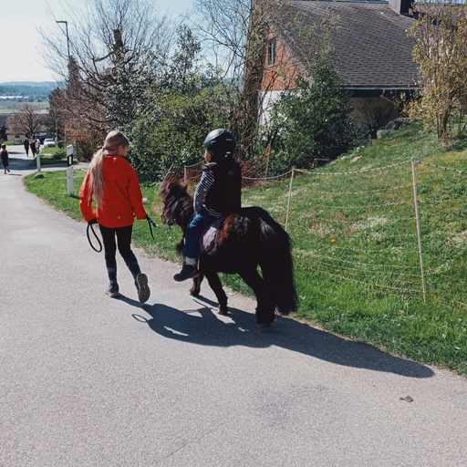 Ponyplausch
