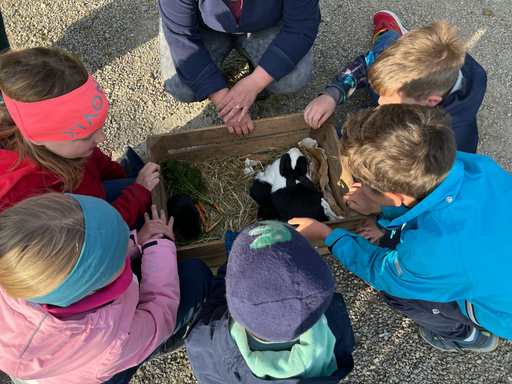 Besuch auf dem Bauernhof
