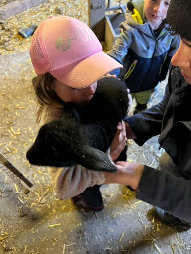 Besuch auf dem Bauernhof