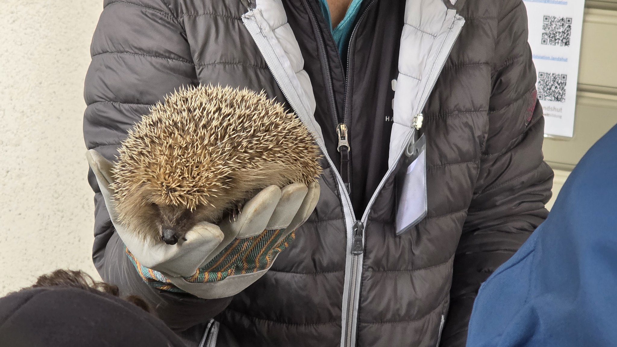 Besuch der Wildstation