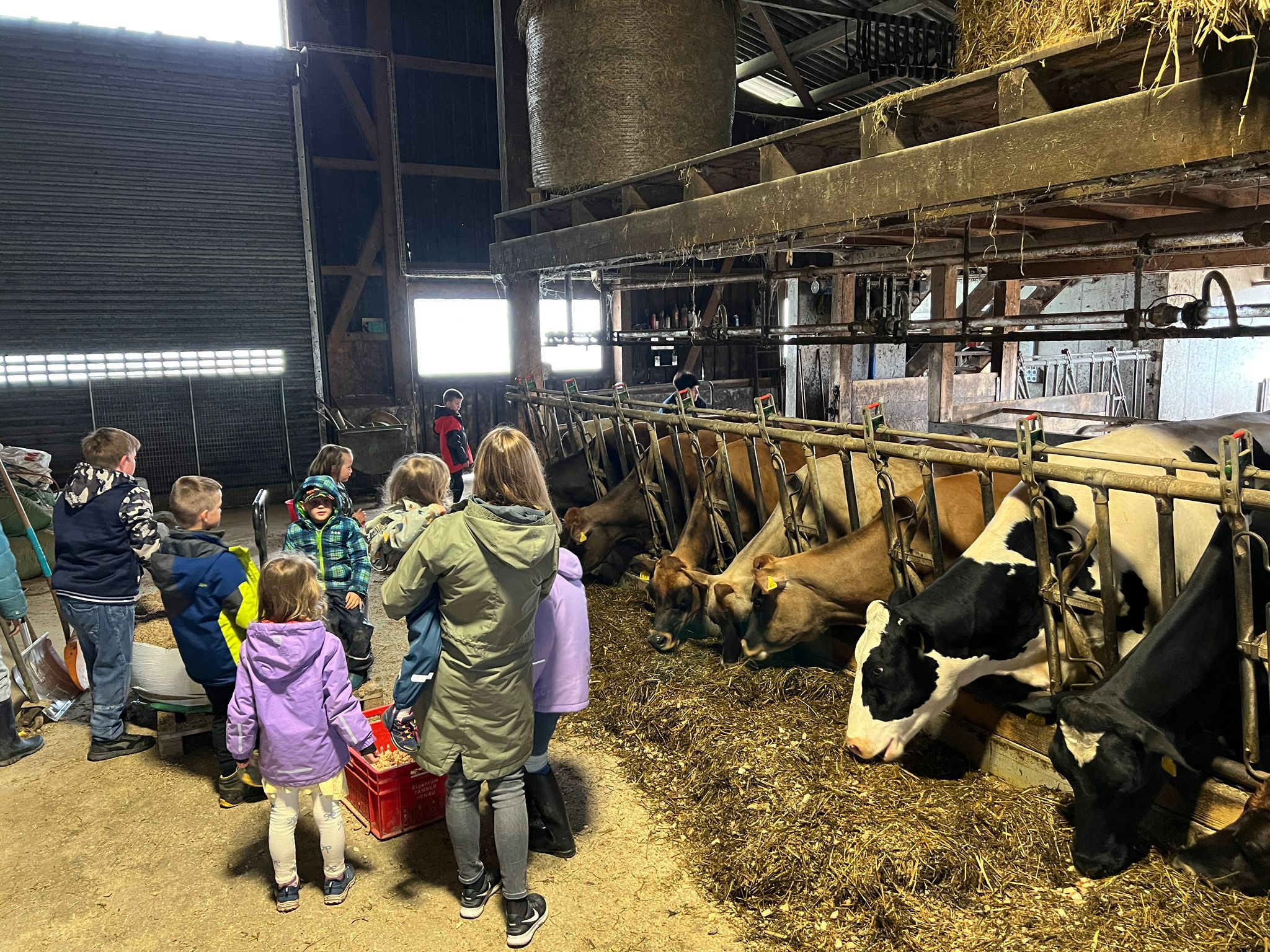 Besuch auf dem Bauernhof