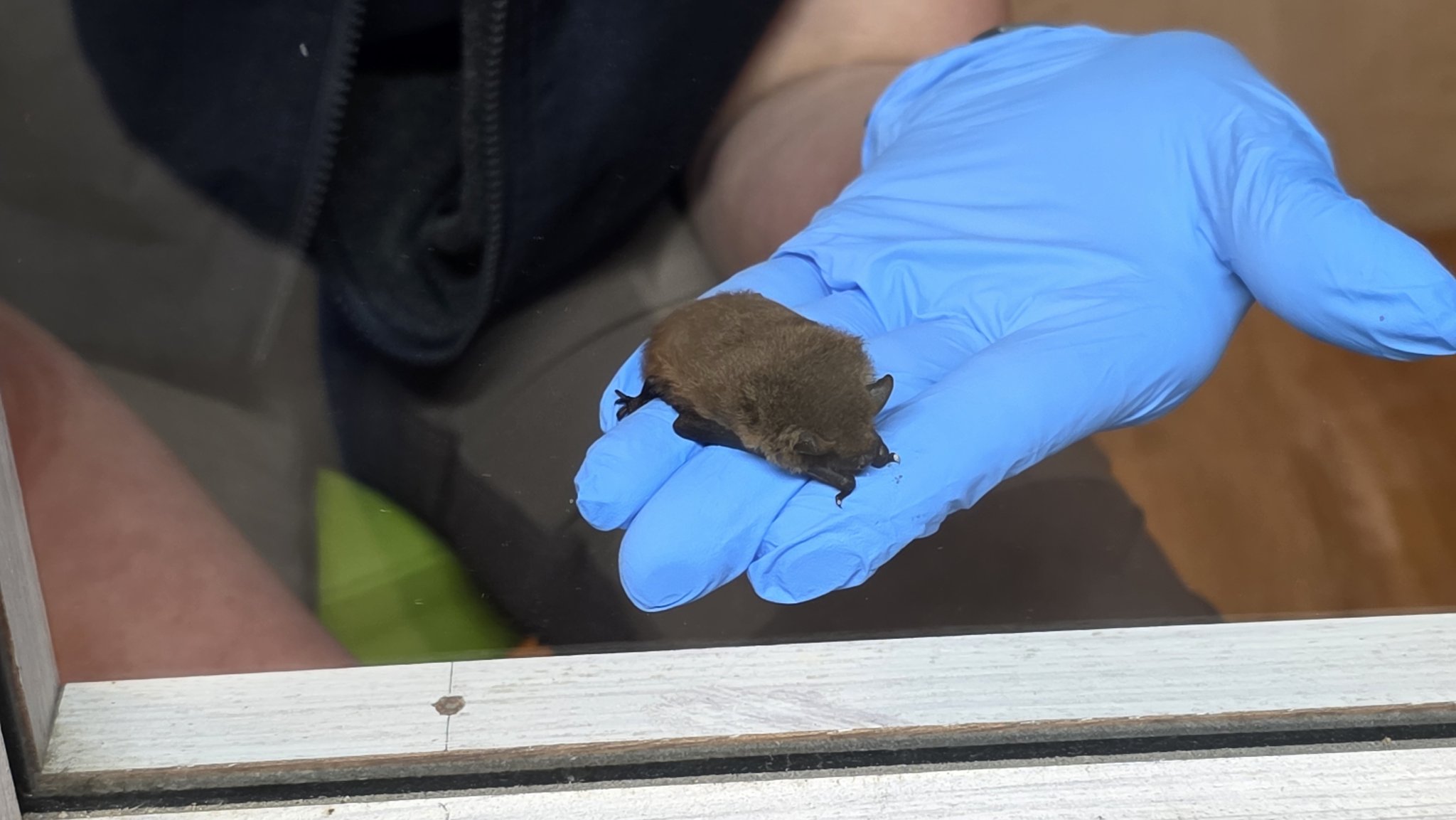 Besuch der Wildstation