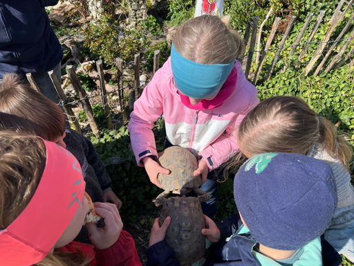 Besuch auf dem Bauernhof