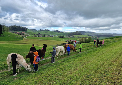 Lama Wanderung