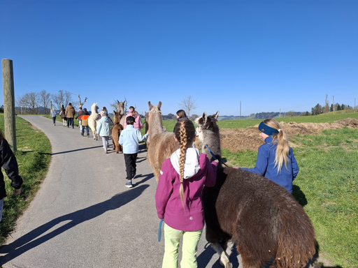 Lama Wanderung