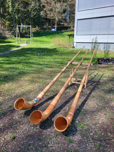 Alphorn