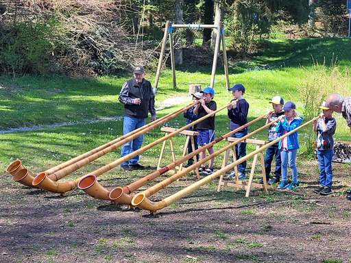 Alphorn